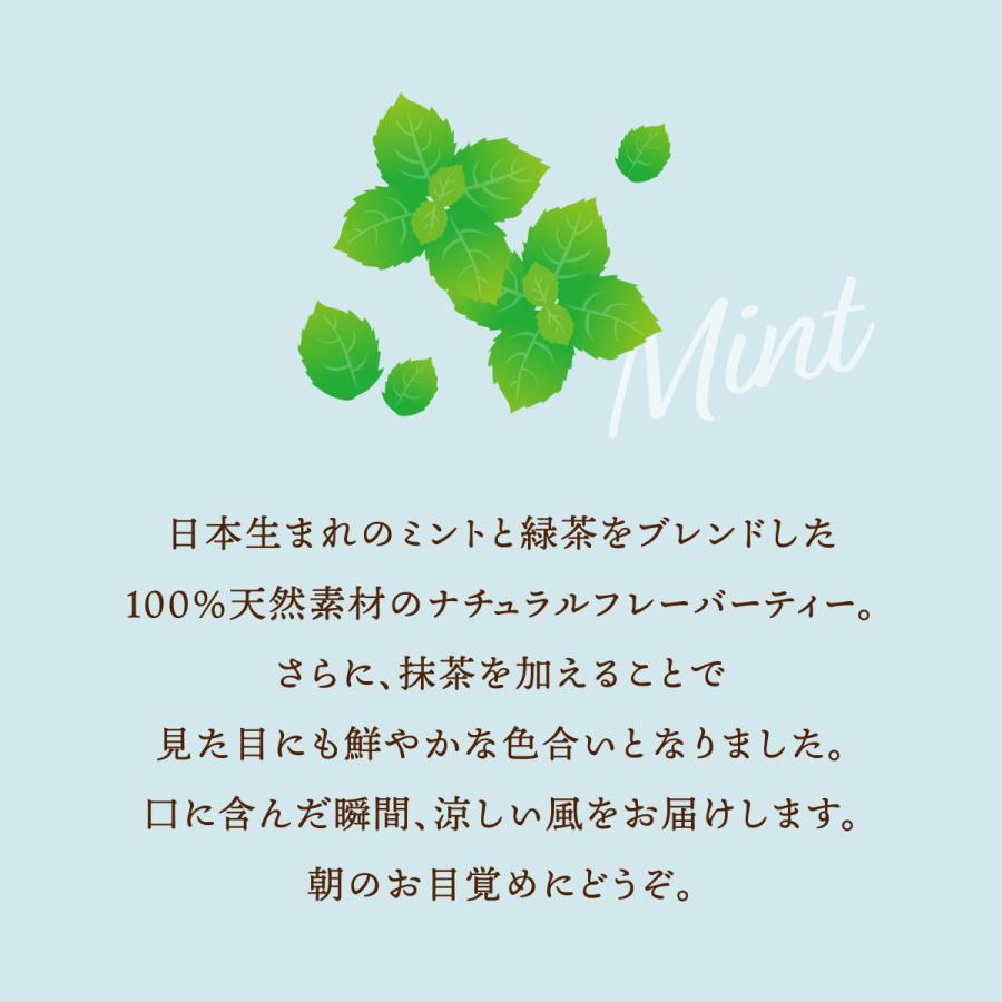ミント入り冷茶ティーバッグ 10p入 竹沢製茶 お茶 水出し 煎茶 日本茶 人気 フルーツ冷茶 フレーバーティー Ts0044 Takezawa Select 通販 Yahoo ショッピング