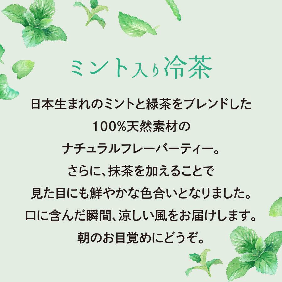 ミント入り冷茶ティーバッグ 10P入 竹沢製茶 お茶 水出し 煎茶 日本茶