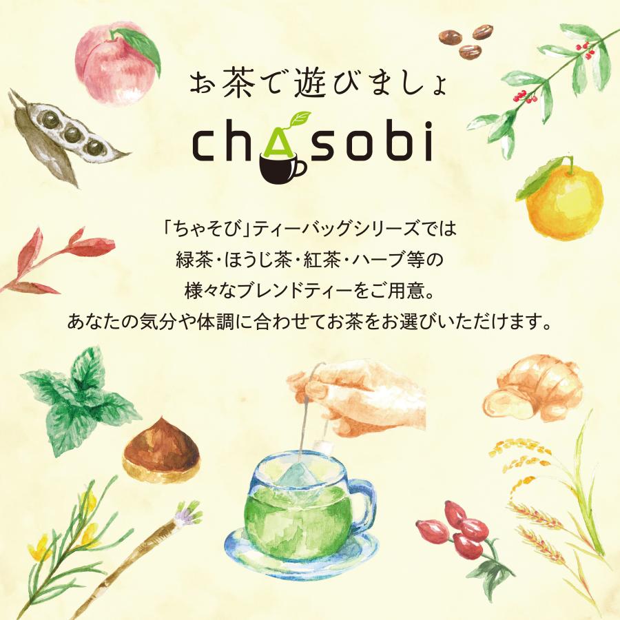 柚子の緑茶 ティーバッグ 6P入 chasobi 竹沢製茶 タケザワセレクト
