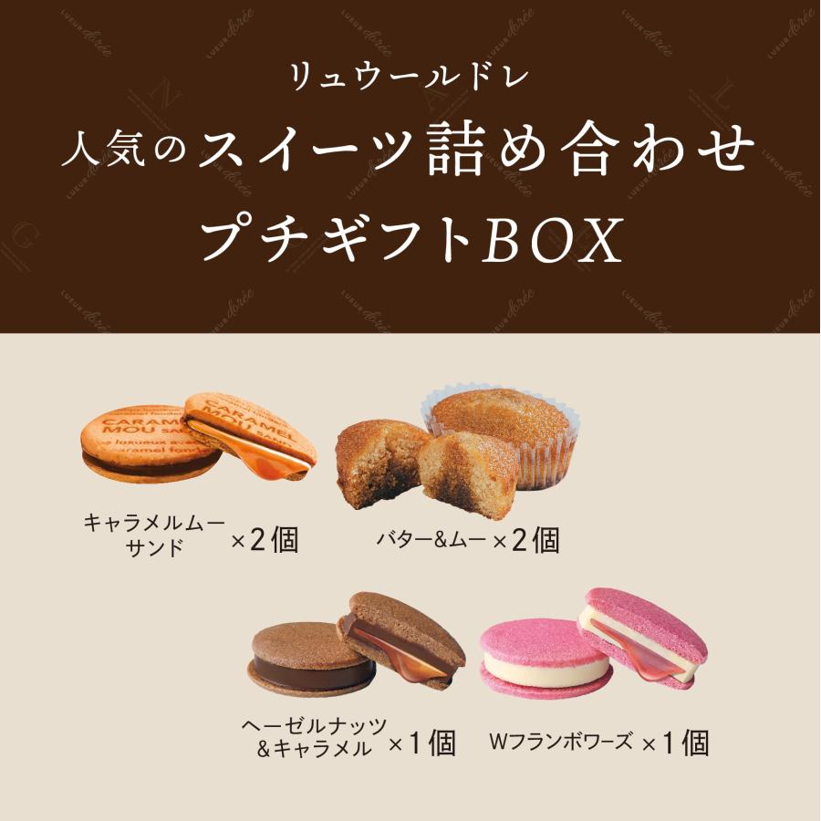 リュウールドレ スイーツBOX 6個入 プチギフト 手土産 焼き菓子 リュウールドレ スイーツBOX 6個入 プチギフト 手土産 焼き菓子