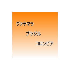 コーヒー豆100g 3種類 ブラジル コロンビア グァテマラ 300 42 自家焙煎 竹園珈琲 通販 Yahoo ショッピング