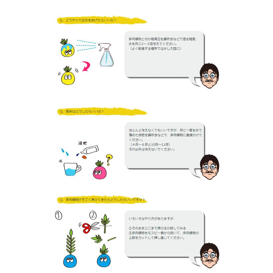 癒しの観葉植物モスビーくん 選べる三兄弟セット 結婚祝い 出産祝い 退職祝い 快気祝い 花粉なし おしゃれ かわいい ギフト 誕生日プレゼント 贈答 贈り物 Suzukakaki 002 ギフト通販の専門店たきび 通販 Yahoo ショッピング