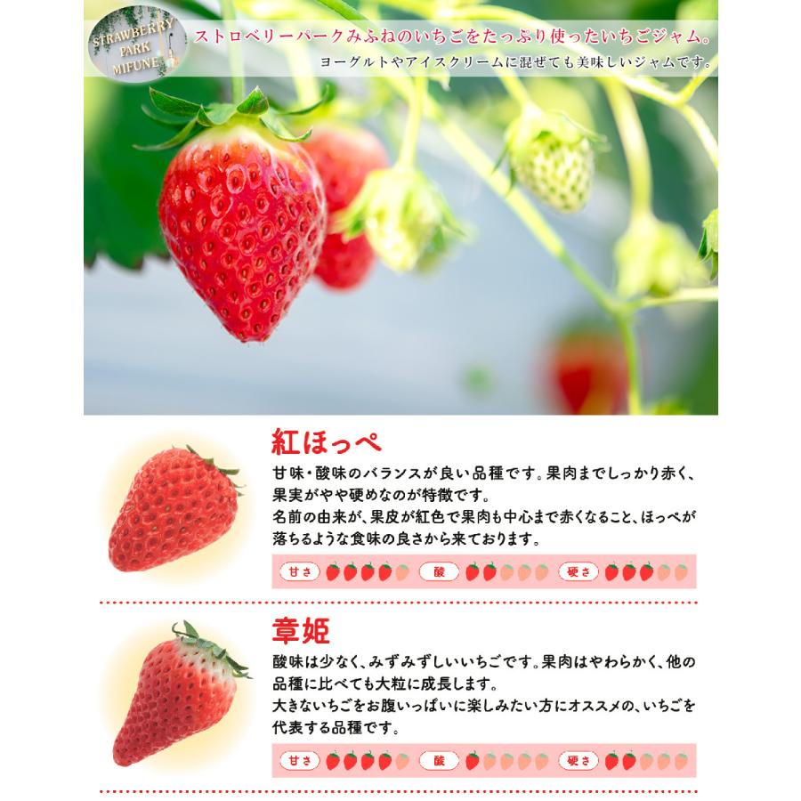 いちご農園がつくった いちごジャム 無添加 無着色 0g 3本 セット 詰め合わせ イチゴ 苺 フルーツ アイスクリーム ヨーグルト ギフト 贈答 プレゼント Taikei 002 ギフト通販の専門店たきび 通販 Yahoo ショッピング