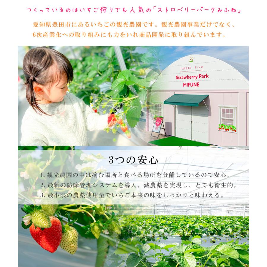 いちご農園がつくった いちごジャム 無添加 無着色 0g 3本 セット 詰め合わせ イチゴ 苺 フルーツ アイスクリーム ヨーグルト ギフト 贈答 プレゼント Taikei 002 ギフト通販の専門店たきび 通販 Yahoo ショッピング