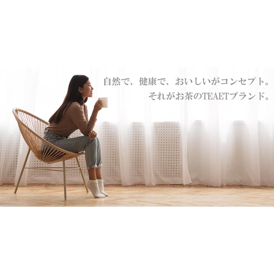 お試し お茶 ほうじ茶 ギフトセット 2番 母の日 父の日 お中元 お歳暮 敬老の日 誕生日 プレゼント お礼 お返し 内祝 3000円 ティーエット Wakouen 009 ギフト通販の専門店たきび 通販 Yahoo ショッピング