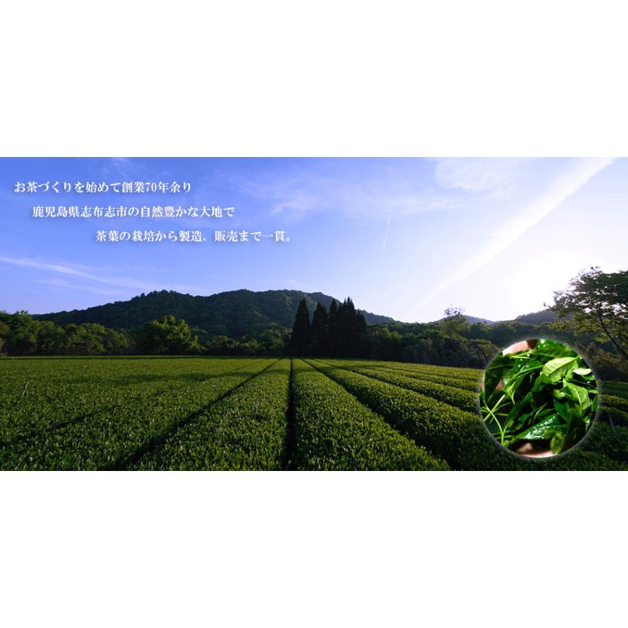 お試し お茶 ほうじ茶 ギフトセット 2番 母の日 父の日 お中元 お歳暮 敬老の日 誕生日 プレゼント お礼 お返し 内祝 3000円 ティーエット Wakouen 009 ギフト通販の専門店たきび 通販 Yahoo ショッピング