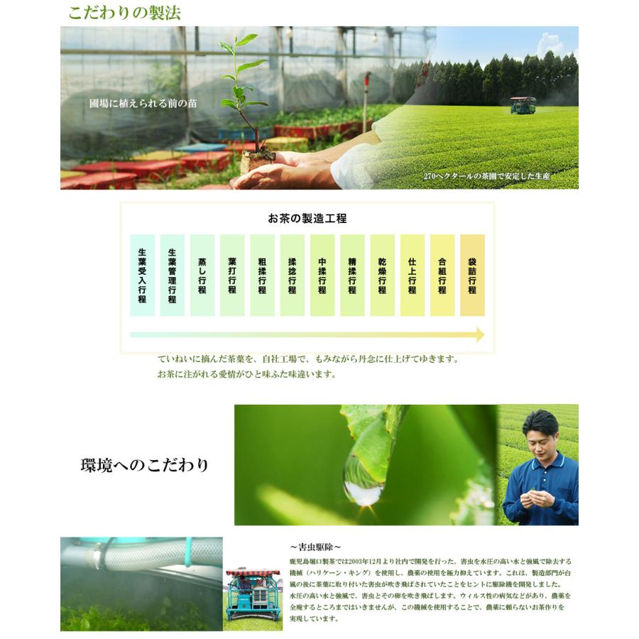 3000円ポッキリ お茶とほうじ茶のお手軽ギフトセット 2番 おしゃれ かわいい 粉末 パウダー 高級 健康 女性 祖父 祖母 緑茶 ティーエット 手土産 敬老の日 Wakouen 009 ギフト通販の専門店たきび 通販 Yahoo ショッピング