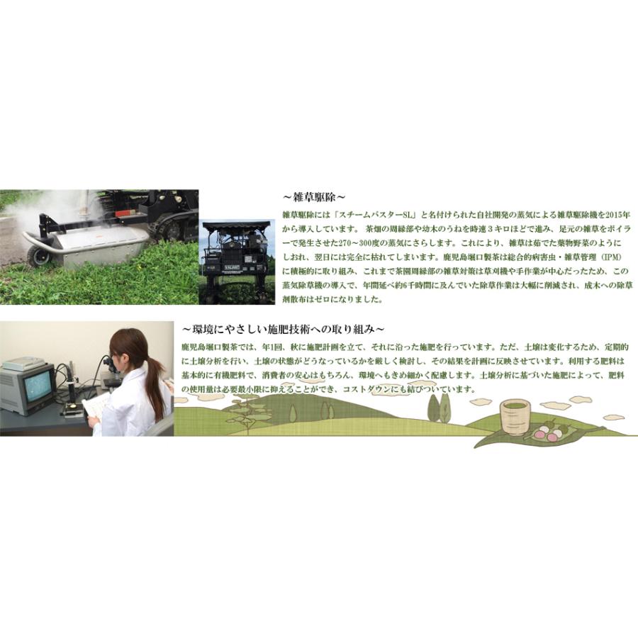 お試し お茶 ほうじ茶 ギフトセット 2番 母の日 父の日 お中元 お歳暮 敬老の日 誕生日 プレゼント お礼 お返し 内祝 3000円 ティーエット Wakouen 009 ギフト通販の専門店たきび 通販 Yahoo ショッピング