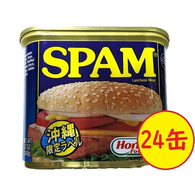 SPAM 缶詰 340g❌24缶 SPAM 缶詰 340g❌24缶 【公式通販】