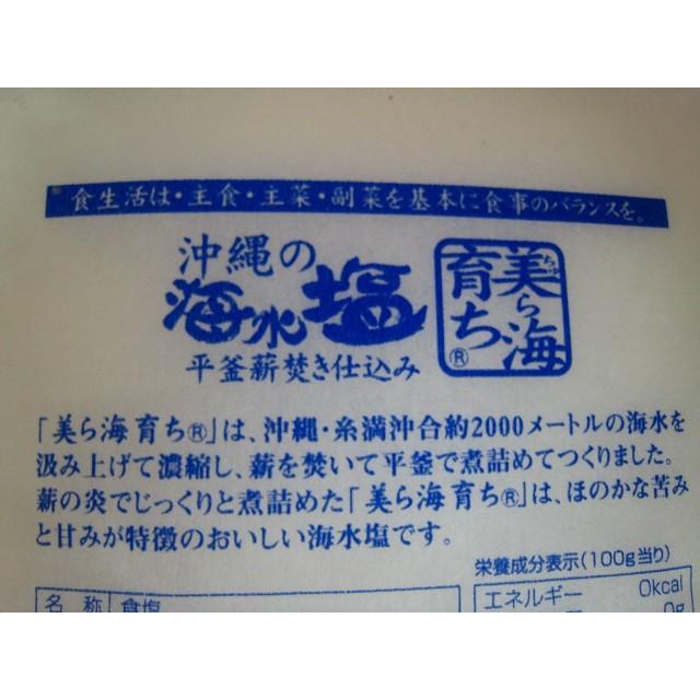 青い海 沖縄の海水塩 美ら海育ち 500g ×4個 シママース 沖縄 海水塩｜takidenki｜03