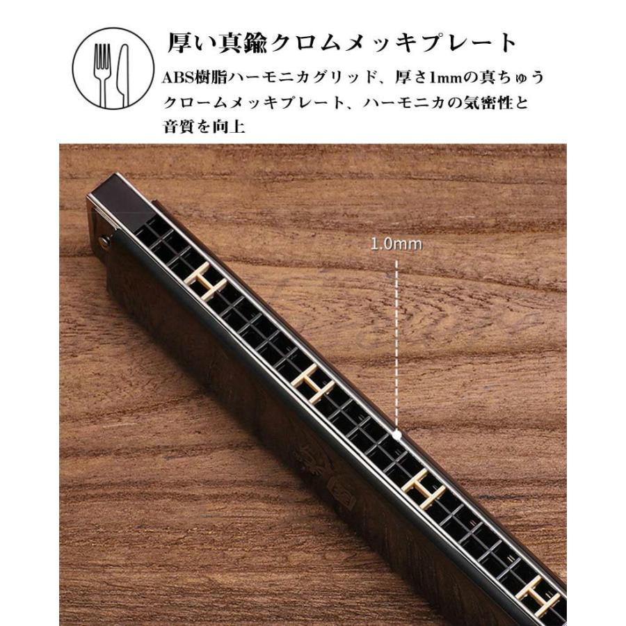 Latingo ハーモニカ C調 10ホールトーン ブルースハープデラックスハーモニカ 子供 初心者 プロ 対応 勉強 練 L3fhxzk1vh 管楽器 吹奏楽器 Casamaida Com Py