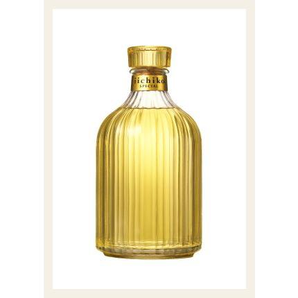 いいちこスペシャル 30度 720ml≪三和酒類本格麦焼酎≫1ケース