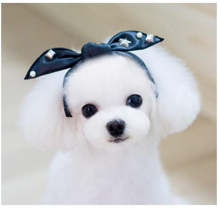 蝶結びペット用ヘアバンド 犬用品 ヘア 飾り かわいいリポン ピンク レース ブラック Pu リベット ペット用ヘアアクセサリー おしゃれ 1a366 1 田木商品 通販 Yahoo ショッピング