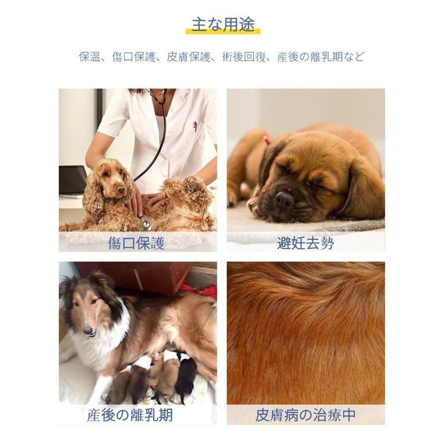 犬用 猫用 イヌネコキャット術後服術後着術後ウェア 傷口皮膚保護 離乳期 手術後 避妊 去勢 生理期 怪我 術後ウェア 介護用品 エリザベスカラー :1aea9:田木商品 - 通販 - Yahoo!ショッピング 犬用 猫用 イヌネコキャット術後服術後着術後ウェア 傷口皮膚保護 離乳期 手術後 避妊 去勢 生理期 怪我 術後ウェア 介護用品 エリザベスカラー :1aea9:田木商品 - 通販 - Yahoo!ショッピング