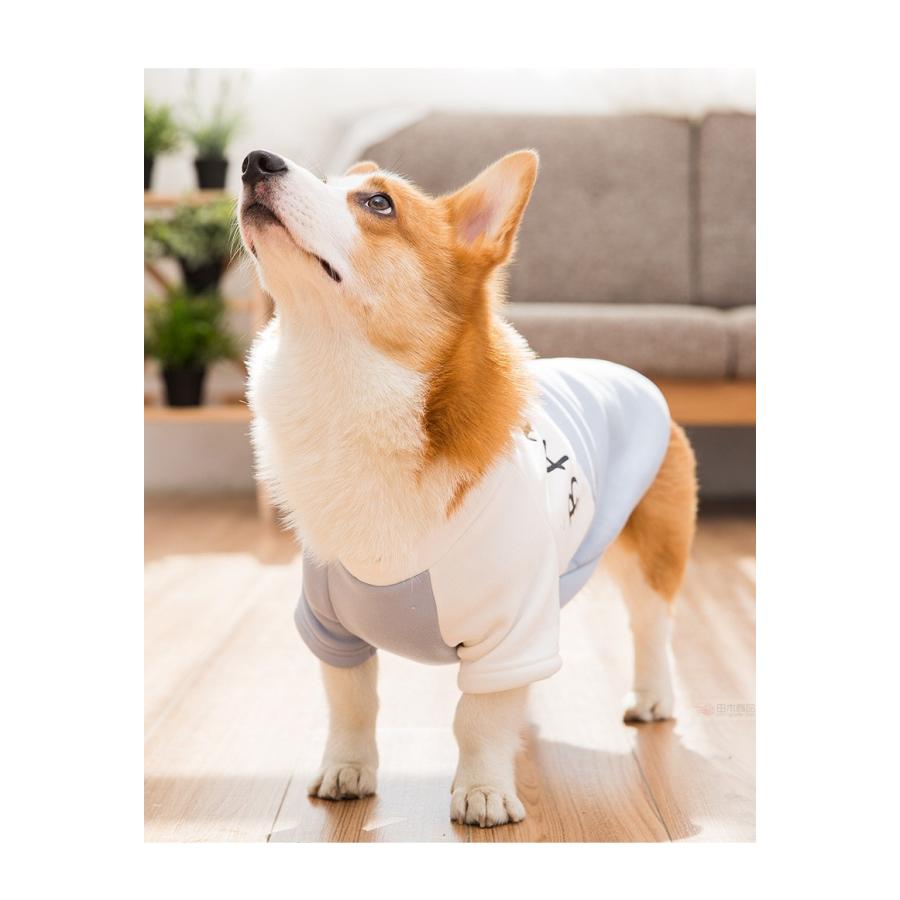 中型犬服 秋田犬 コーギー 洋服/ペット服ペットウェア秋冬おしゃれドッグウェア/防寒服/ふわふわ暖かボーダー ロングTシャツ かわいいプリント ギフトプレゼント :1af1e:田木商品 - 通販 - Yahoo!ショッピング 中型犬服 秋田犬 コーギー 洋服/ペット服ペットウェア秋冬おしゃれドッグウェア/防寒服/ふわふわ暖かボーダー ロングTシャツ かわいいプリント ギフトプレゼント :1af1e:田木商品 - 通販 - Yahoo!ショッピング