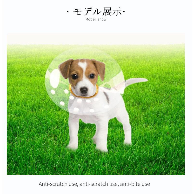 新品登場 ペット用 ネコ猫用 犬用 ソフトエリザベスカラー 簡単装着 首まり柔らかい素材 犬用介護用品 手術 怪我 術後の傷口保護 視界確保術後着舐めない blaccoded.com 新品登場 ペット用 ネコ猫用 犬用 ソフトエリザベスカラー 簡単装着 首まり柔らかい素材 犬用介護用品 手術 怪我 術後の傷口保護 視界確保術後着舐めない blaccoded.com