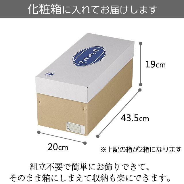 ミニ 盆提灯 盆ちょうちん お盆提灯 LED コードレス 回転行灯 せいらん6号 2726-2 一対セット(2個)｜takita｜09