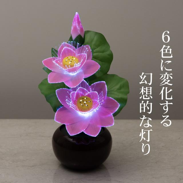 54296834_3