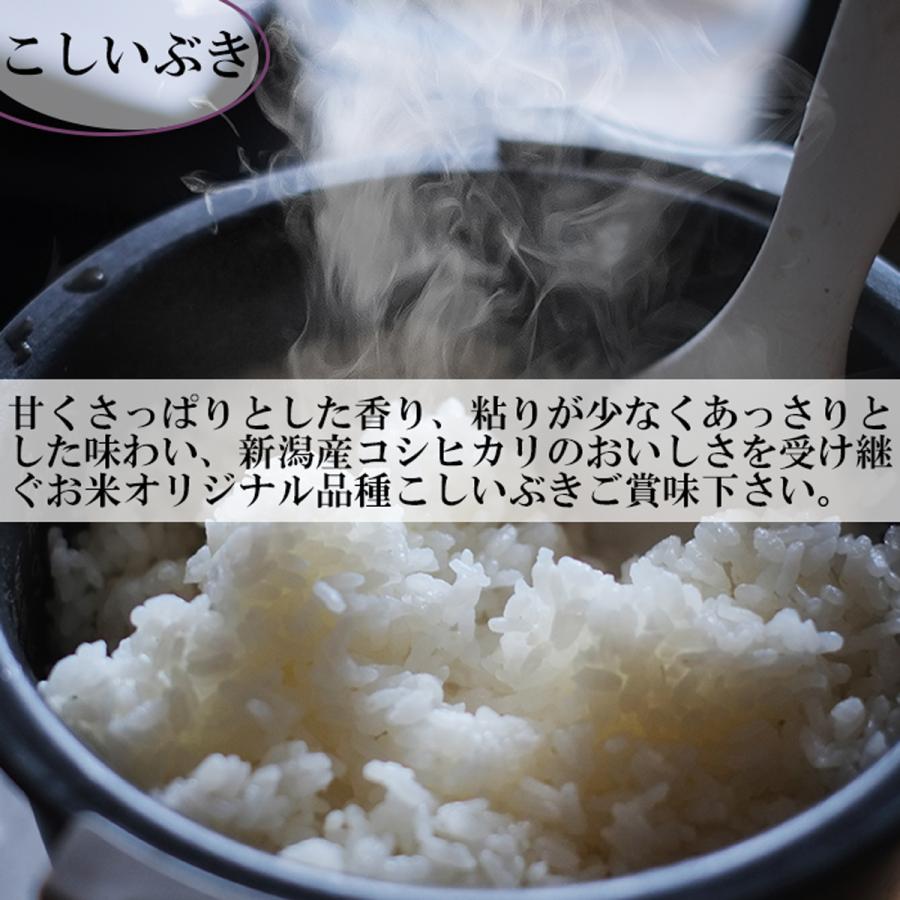 こしいぶき 新米 令和7年産 新潟産 白米25kg （5kg×5袋）さっぱりと