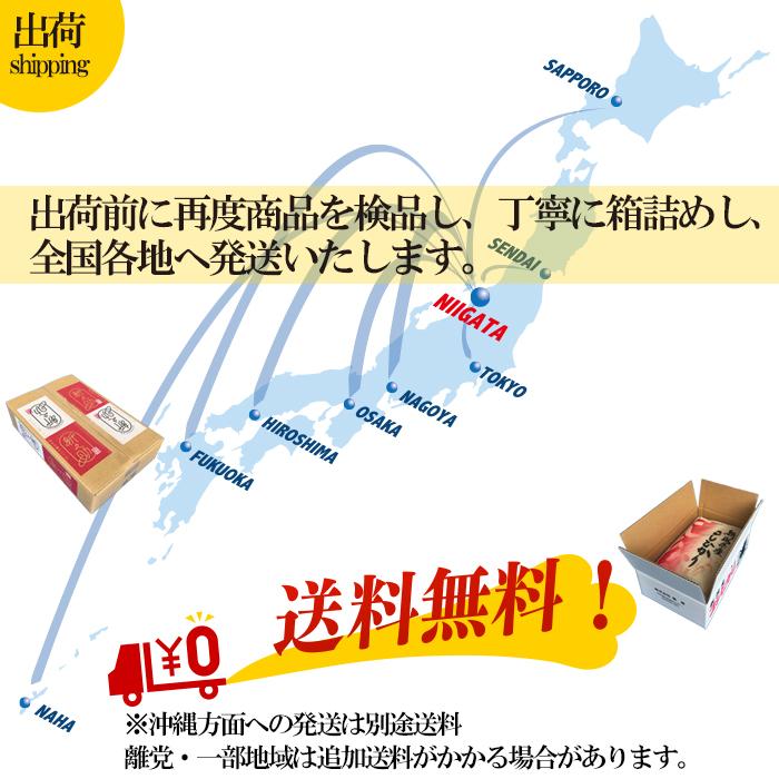 コシヒカリ 令和7年産 岩船産コシヒカリ 白米25kg （5kg×5袋） 「新潟