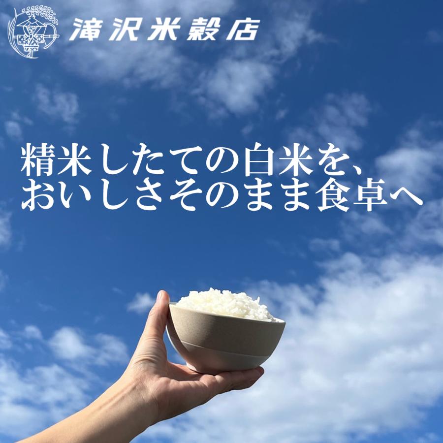コシヒカリ 令和7年産 岩船産コシヒカリ 白米25kg （5kg×5袋） 「新潟
