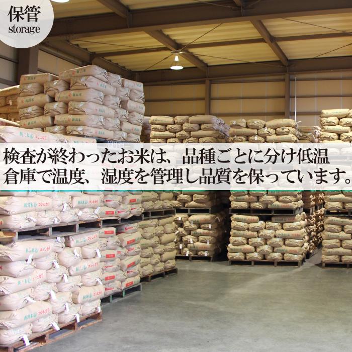 コシヒカリ 令和7年産 岩船産コシヒカリ 白米25kg （5kg×5袋） 「新潟