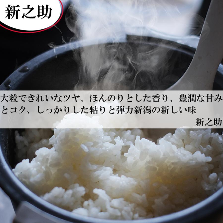 新之助 食味値上位厳選米 令和6年産 新潟県産 新潟米 白米20kg 新之助 食味値上位厳選米 令和6年産 新潟県産 新潟米 白米20kg