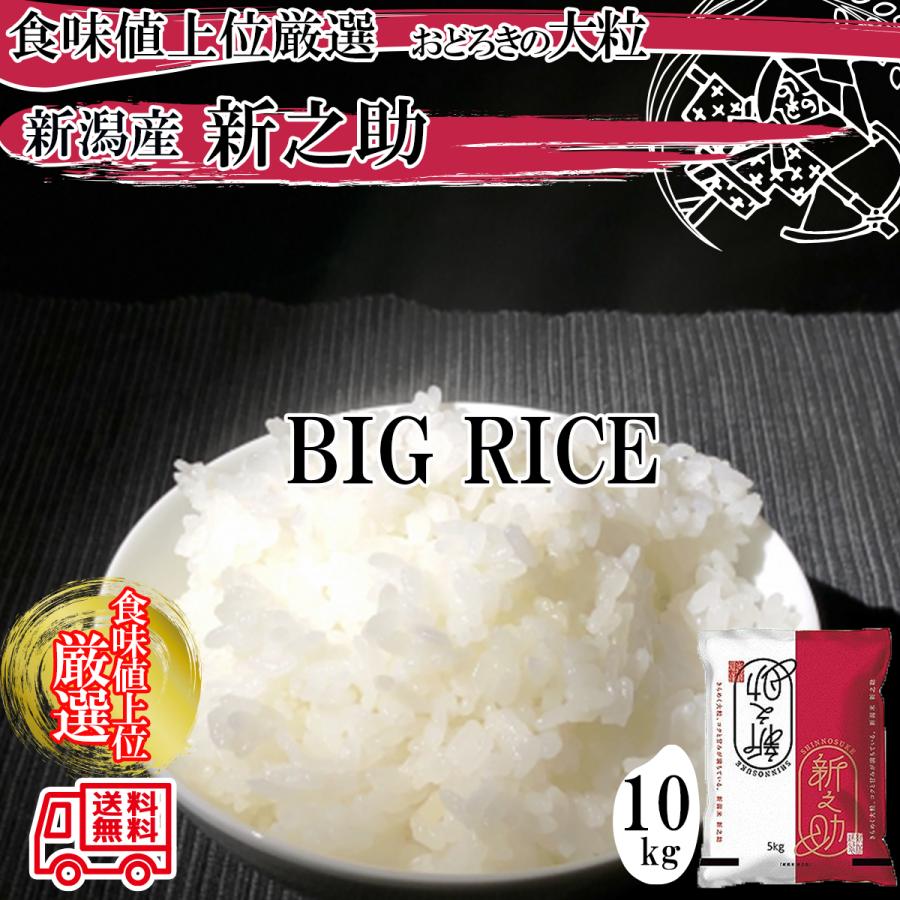 特別セール 令和7年産 新潟県産 新之助 白米10kg（5kg×2袋）驚きの大粒！新之助、ご自宅用または、贈り物へ（Yahoo!・滝沢米穀店）