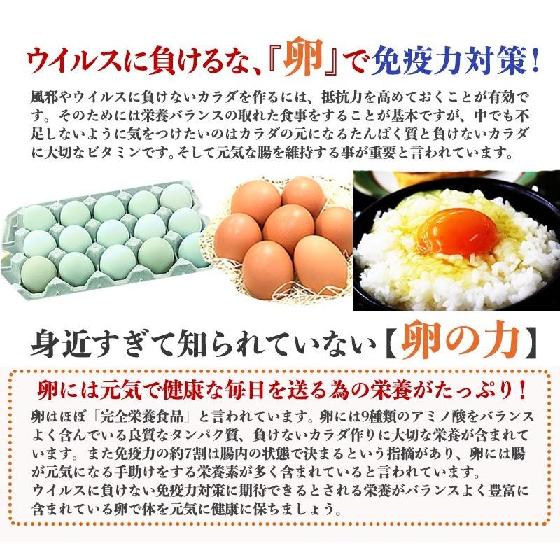 卵 高級 卵かけご飯 生卵 Tv雑誌出演多数 1日限定10箱 いとしのきみ 10個入 化粧箱入 掛け紙 水引付 ギフト 送料無料 お取り寄せグルメ Itoshinokimi 10 2 田子たまご村yahoo 店 通販 Yahoo ショッピング
