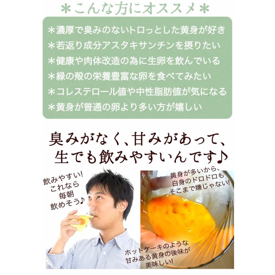 卵 高級 同梱専用 緑の一番星6個入飲んでも美味 オーバーのアイテム取扱 お取り寄せグルメ 生卵 卵かけご飯 甘く濃厚アローカナが進化