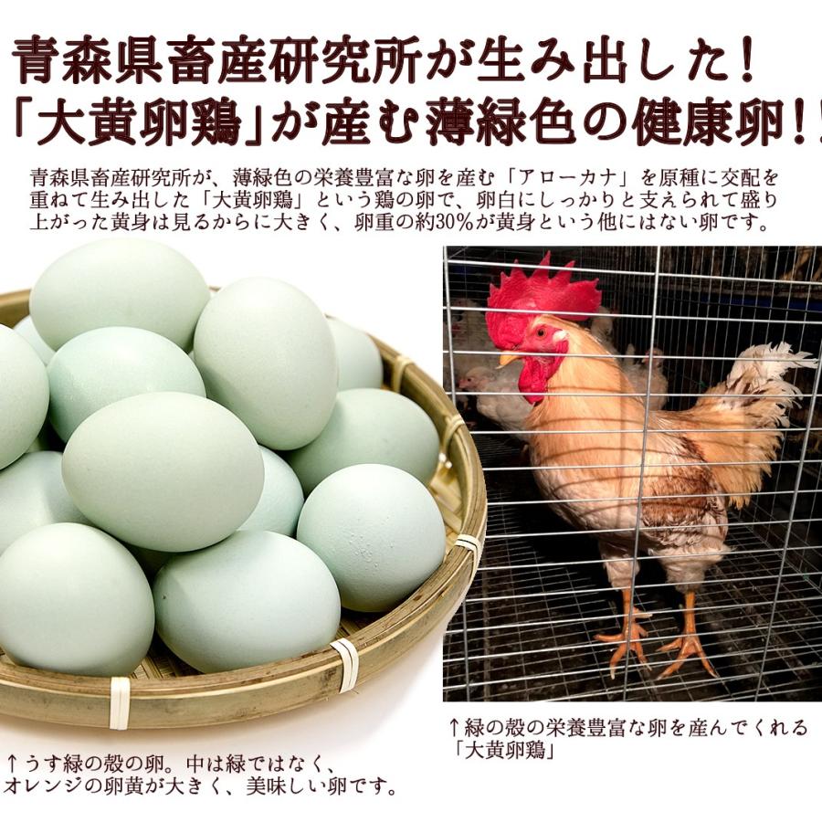 高級 卵かけご飯 生卵 緑の一番星 18個入 絶品卵 飲んでも美味 甘く濃厚大黄卵鶏が産む薄緑殻の栄養卵 青い お取り寄せグルメ Midori 018 田子たまご村yahoo 店 通販 Yahoo ショッピング