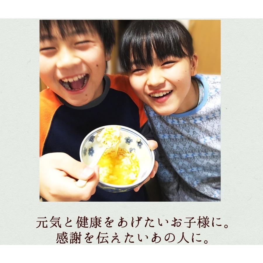 お歳暮 卵 玉子 たまご 高級 卵かけご飯に 緑の一番星20個(16個+破損保証4個)トレイ入 ギフト お取り寄せグルメ 冬ギフト 御歳暮 2022 :midori-020-gift:田子たまご村Yahoo!店 - 通販 - Yahoo!ショッピング お歳暮 卵 玉子 たまご 高級 卵かけご飯に 緑の一番星20個(16個+破損保証4個)トレイ入 ギフト お取り寄せグルメ 冬ギフト 御歳暮 2022 :midori-020-gift:田子たまご村Yahoo!店 - 通販 - Yahoo!ショッピング