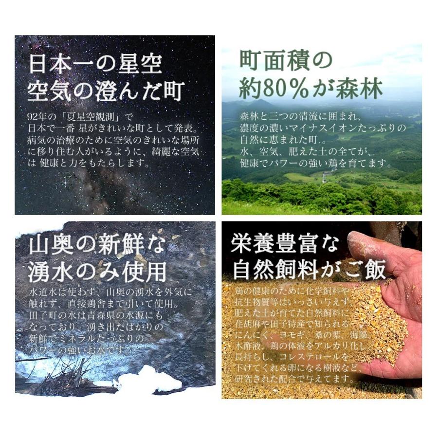 お歳暮 卵 玉子 たまご 高級 卵かけご飯に 緑の一番星20個(16個+破損保証4個)トレイ入 ギフト お取り寄せグルメ 冬ギフト 御歳暮 2022 :midori-020-gift:田子たまご村Yahoo!店 - 通販 - Yahoo!ショッピング お歳暮 卵 玉子 たまご 高級 卵かけご飯に 緑の一番星20個(16個+破損保証4個)トレイ入 ギフト お取り寄せグルメ 冬ギフト 御歳暮 2022 :midori-020-gift:田子たまご村Yahoo!店 - 通販 - Yahoo!ショッピング
