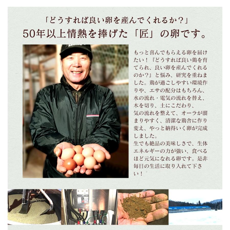 卵 玉子 たまご 高級 卵かけご飯に 緑の一番星 初産み卵 30個(生卵25個+破損保証5個)(トレイ入 小さめサイズ) お取り寄せグルメ :midori-036:田子たまご村Yahoo!店 - 通販 - Yahoo!ショッピング 卵 玉子 たまご 高級 卵かけご飯に 緑の一番星 初産み卵 30個(生卵25個+破損保証5個)(トレイ入 小さめサイズ) お取り寄せグルメ :midori-036:田子たまご村Yahoo!店 - 通販 - Yahoo!ショッピング