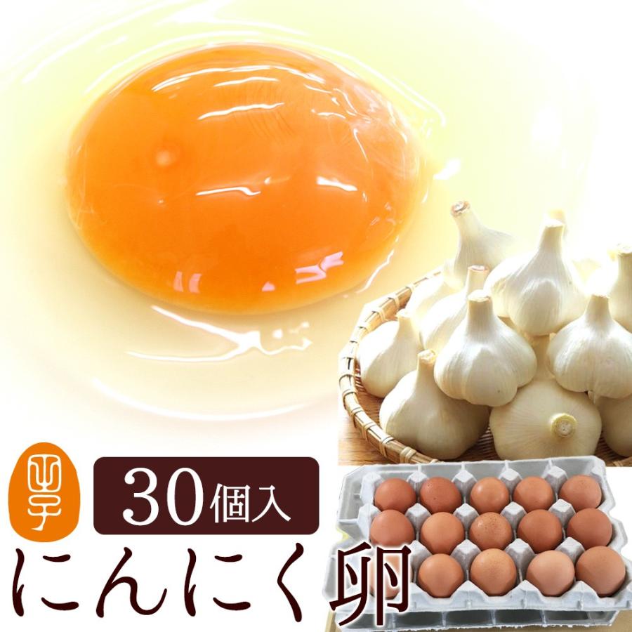 お中元 ギフト 卵 送料無料 高級 卵かけご飯 生卵 にんにく卵 30個入 生卵25個 破損保証5個 卵 甘く生臭さニンニク臭無し お取り寄せグルメ 御中元 21 グルメ Ninniku 030 G 田子たまご村yahoo 店 通販 Yahoo ショッピング