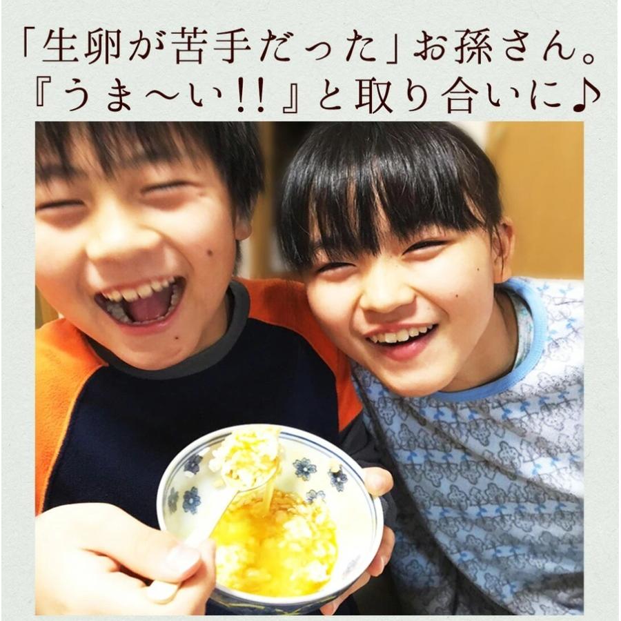 卵 玉子 たまご 高級 卵かけご飯に 新鮮愛されたまご2種お試しセット30個 生卵25個 破損保証5個 緑の一番星15個 にんにく卵or平飼い有精卵15個 食べ比べ Testotameshi 001 田子たまご村yahoo 店 通販 Yahoo ショッピング