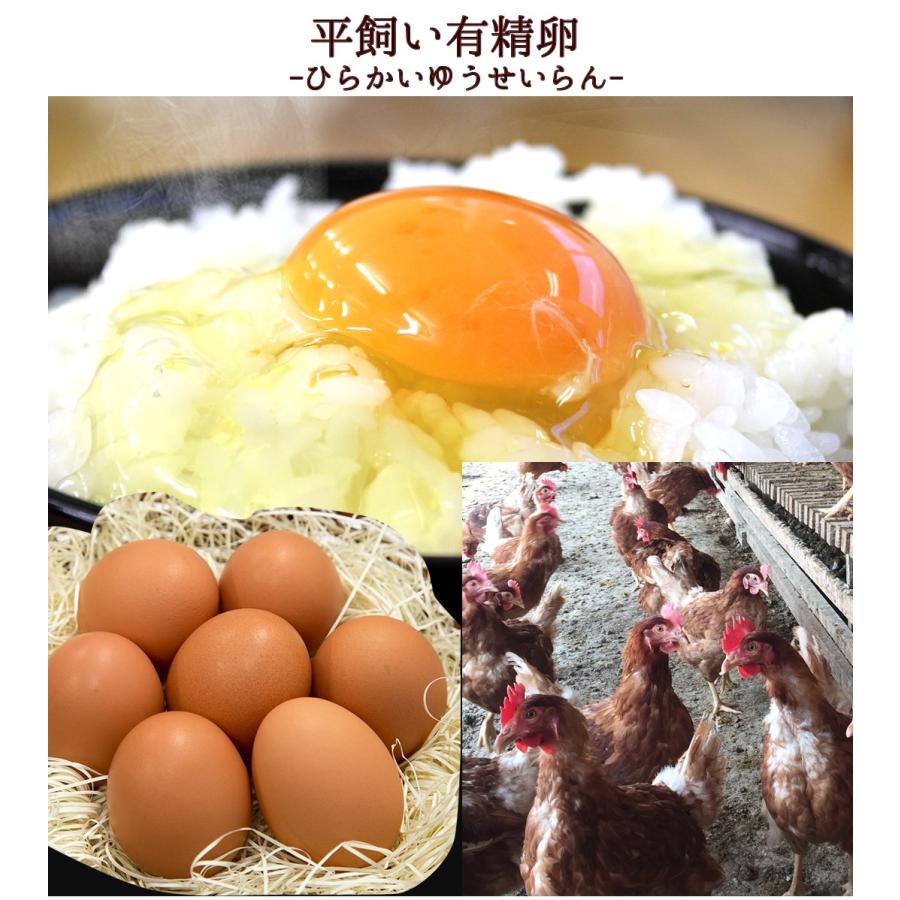 卵 玉子 たまご 高級 卵かけご飯に 残暑見舞い 有精卵30個入 25個 破損保証5個 ギフト 平飼い お取り寄せグルメ Yuuseiran 030 田子たまご村yahoo 店 通販 Yahoo ショッピング