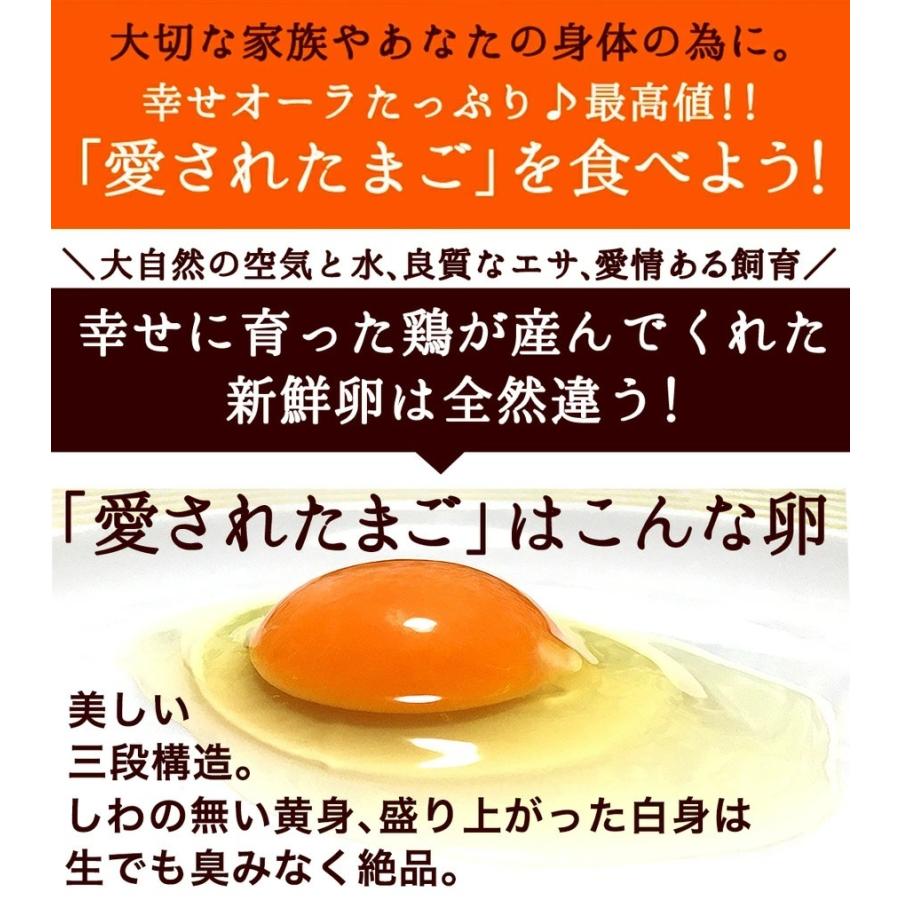 卵 玉子 たまご 高級 卵かけご飯に 有精卵 36個入り 卵 飲んでも美味 純国産鶏 もみじ が産む健康卵 平飼い有精卵 ご自宅用 お取り寄せグルメ Yuuseiran 036 田子たまご村yahoo 店 通販 Yahoo ショッピング