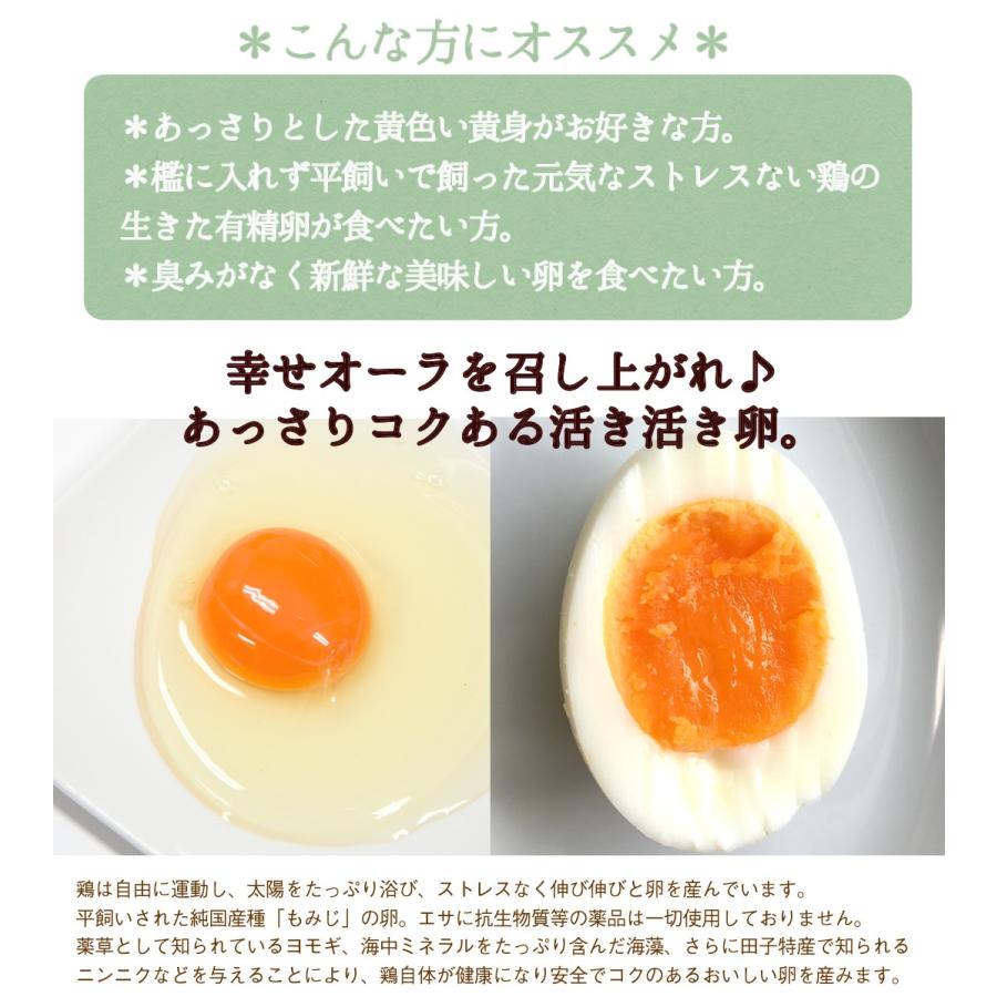 年最新海外 卵 高級 卵かけご飯 有精卵 75個入 生卵60個 破損保証15個 平飼いでストレスなく育った純国産鶏が産む健康卵 青い 送別 お取り寄せグルメ 超大特価 Www Muslimaidusa Org