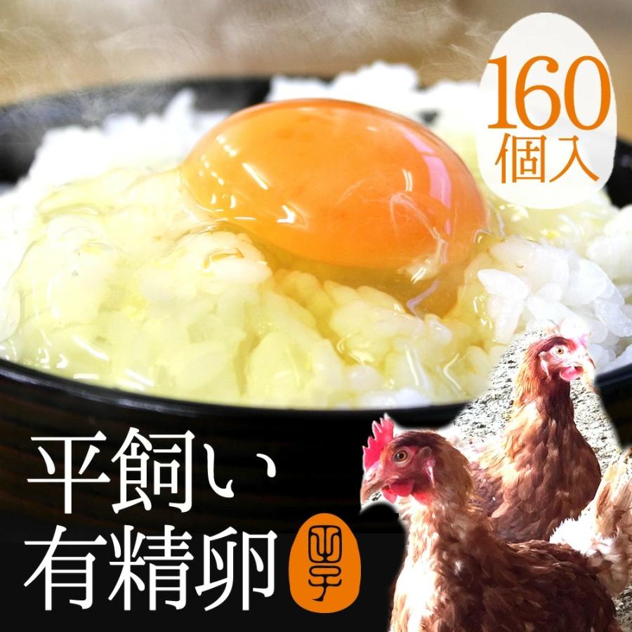 卵 高級 卵かけご飯 生卵 有精卵 160個入 生卵128個 破損保証32個 送料無料 平飼いでストレスなく育った純国産鶏が産む健康卵 お取り寄せグルメ Yuuseiran 160 田子たまご村yahoo 店 通販 Yahoo ショッピング