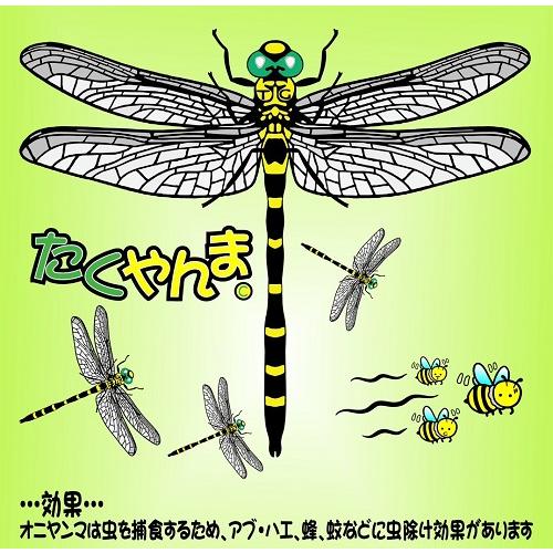 おむやんページ たくやんま : タク技研.com - 通販 - Yahoo!ショッピング