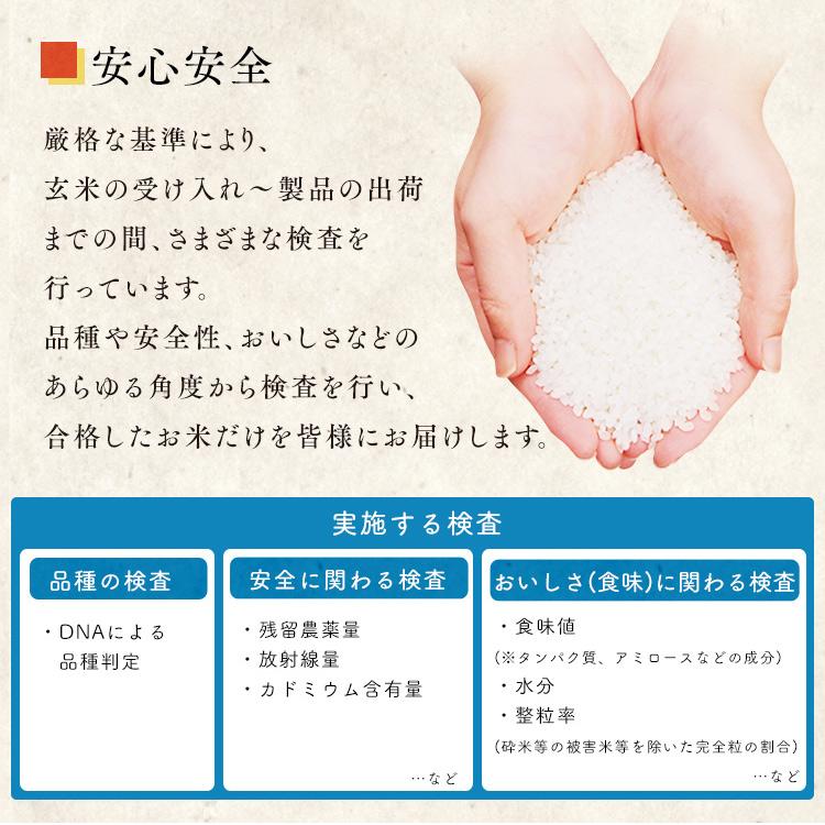 米 5kg 送料無料 令和5年産 無洗米 5kg 新潟県産 こしひかり 低温製法米 精米 お米 5キロ コシヒカリ ご飯 ごはん アイリスフーズ｜takuhaibin｜07