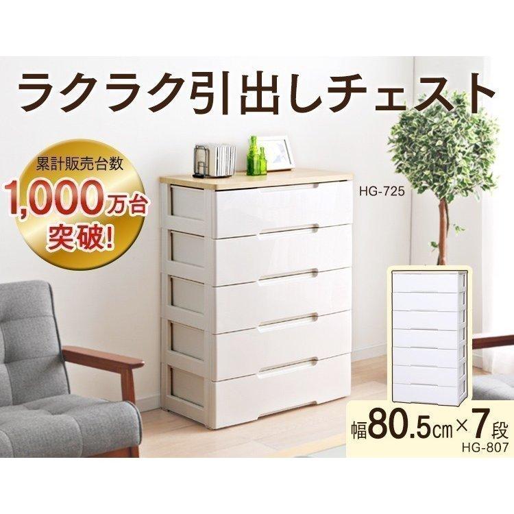 IRIS OHYAMA（アイリスオーヤマ） 2台セット 収納ケース プラスチック