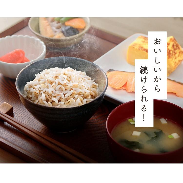 パックご飯 アイリス CM ごはん レトルトご飯 パックご飯 パック ごはん ご飯 9食セット 国産もち麦ごはん150g×3P アイリスフーズ｜takuhaibin｜09