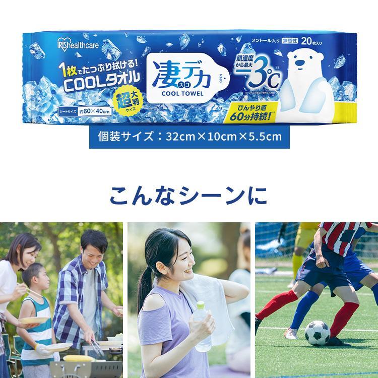 IRIS OHYAMA（アイリスオーヤマ） ボディシート 大判 80枚 20枚×4個