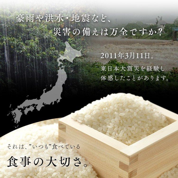 レトルトご飯 パックご飯 ごはん パック レンジ 180g 48食 長期保存パックごはん 180g×12パック 4個セット アイリスフーズ｜takuhaibin｜02