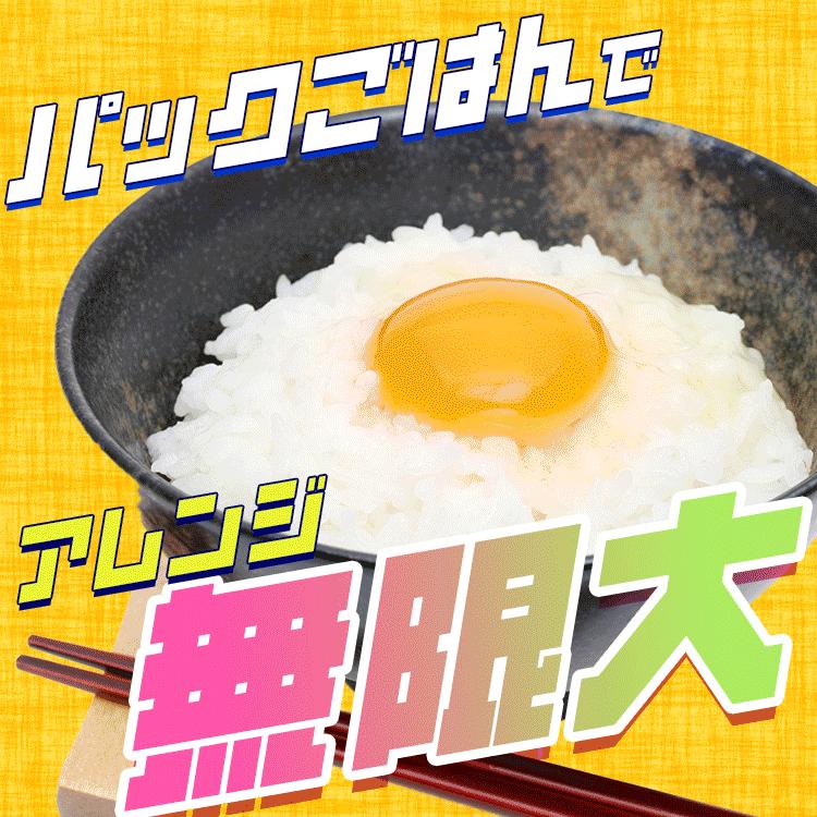 IRIS OHYAMA（アイリスオーヤマ） パックご飯 200g 40食 ご飯パック