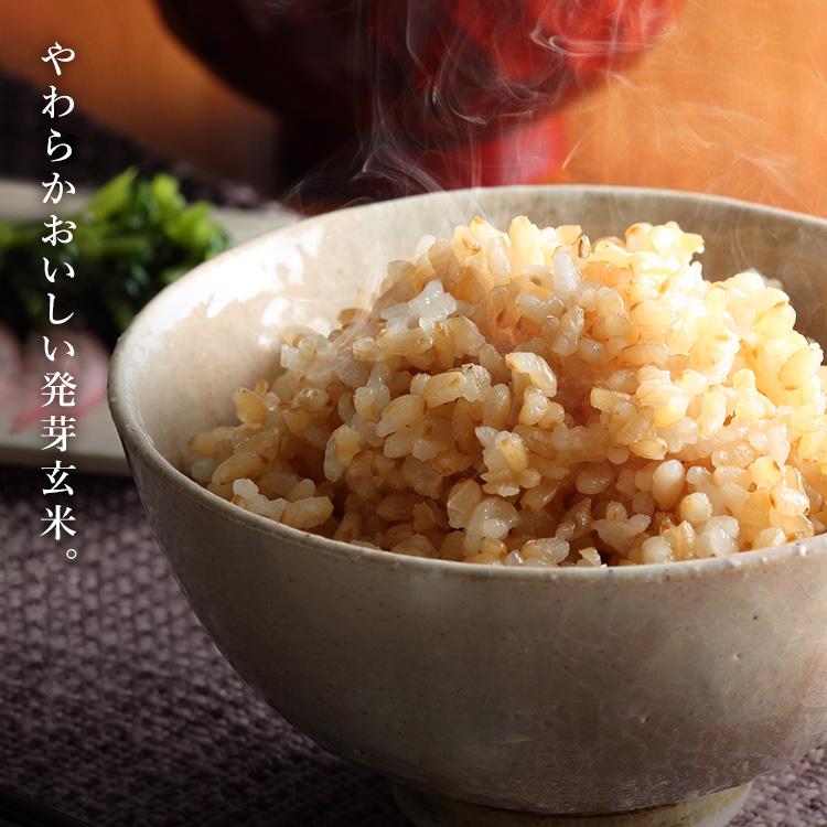 IRIS OHYAMA（アイリスオーヤマ） 玄米 700g 発芽米 発芽玄米 700g