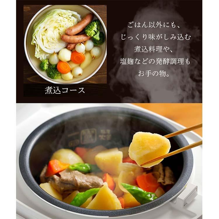 IRIS OHYAMA（アイリスオーヤマ） 炊飯器 5合 5.5合 炊飯ジャー