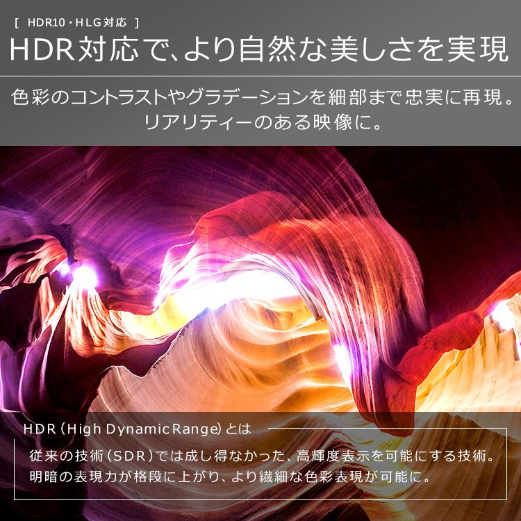 IRIS OHYAMA（アイリスオーヤマ） テレビ 4Kチューナー内蔵液晶テレビ 
